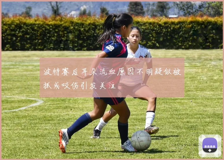 波特赛后耳朵流血原因不明疑似被抓或咬伤引发关注